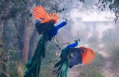 耶鲁大学励志语录(耶鲁大学励志语录无条件)