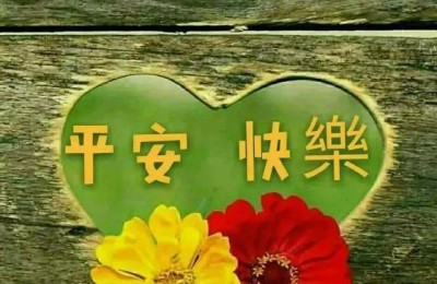 生活需要阳光(生活需要阳光600字作文)