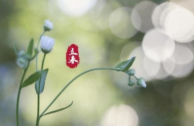 立春发朋友圈的句子(立春发朋友圈的句子图片)