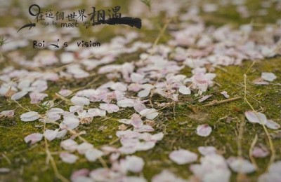 高级有质感的句子(高级有质感的句子励志)