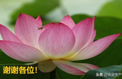 现代企业管理(现代企业管理专业)