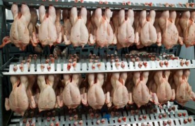 人类对生物圈的影响(人类对生物圈的影响有哪些)