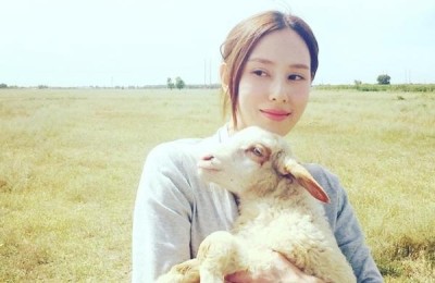 房思瑜(房思瑜老公是谁)