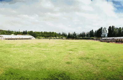 sdzs(圣都装饰装修公司)