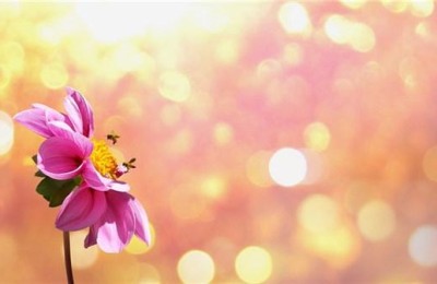 形容心情好的句子(形容心情好的句子唯美)