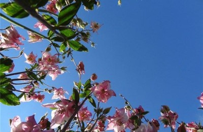 颓废伤感签名(颓废的个性签名)