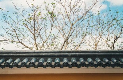 东临碣石以观沧海(东临碣石以观沧海翻译)