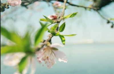 关于清明节的作文600字(关于清明节的作文600字初一)