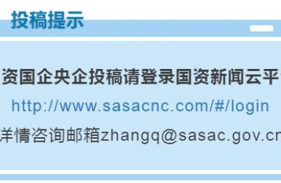职业注册会计师招聘(注册会计师岗位招聘)