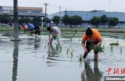 四川二级水利水电建造师李勇(四川省水电集团李勇)