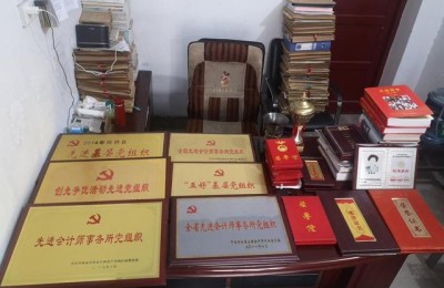 河南省注册会计师任职(河南省注册会计师协会会长)