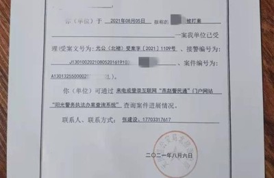 少年夏令营(2022青少年夏令营)