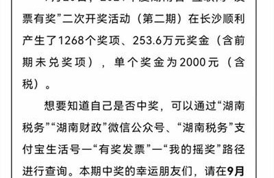 湖南国税电子税务局(湖南国税电子税务局官方网)