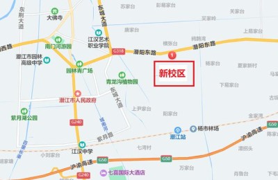 潜江中学(潜江中学学生坠楼)