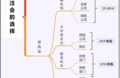 审计注册会计师就业(注册审计师就业前景)