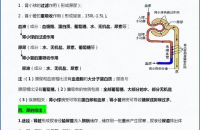 七年级下册生物(七年级下册生物电子书)