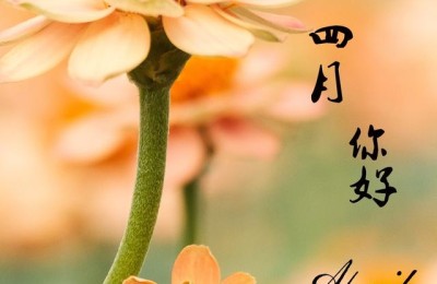 四月唯美句子(四月唯美句子简短)