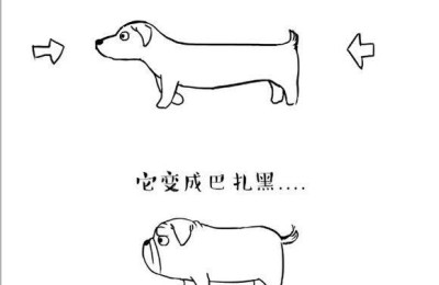 笑话短信大全(给客户发笑话短信大全)