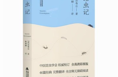 昆虫记每章节内容概括(昆虫记每章节内容概括50字左右)