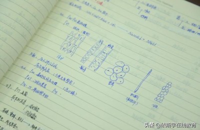 考二级建造师怎么下手(如何快速考二级建造师)
