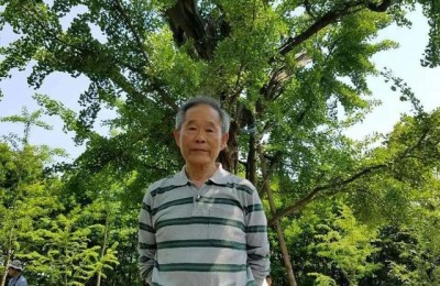 清明 诗词(清明诗词十首最美)