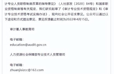 注册会计师审计工程师(注册会计师 审计师)