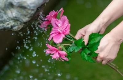 述职报告格式(述职报告格式模板)