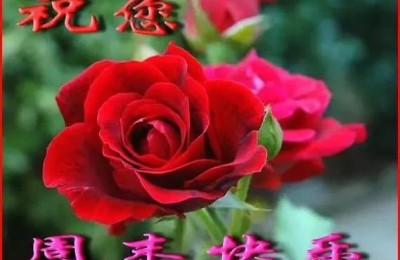 2022年微信拜年祝福语(2022年微信拜年祝福语图片)
