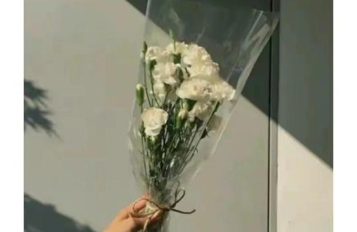 三八妇女节的佳句(三八妇女节的佳句短句)