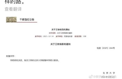 王铮老师(王铮老师心理疏导的免费视频)