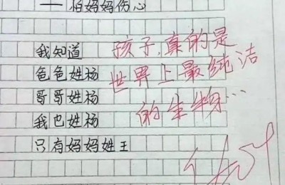 看了会哭的文章(看了一定会哭的文章)