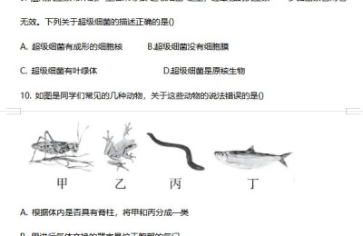 七年级生物上册期末测试题(七年级生物上册期末测试题及答案)