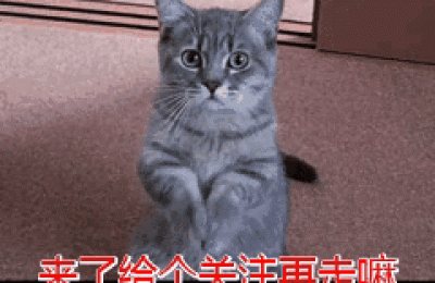 助理人力资源管理师(助理人力资源管理师报考条件)