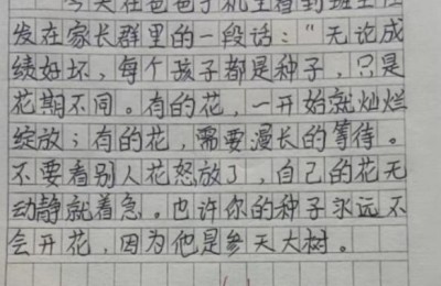 我的家 作文(我的家作文600字)