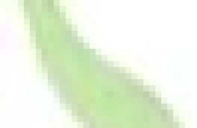 客家方言(客家方言的代表话是)