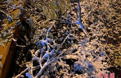 北京初雪来了(北京初雪来了图片)