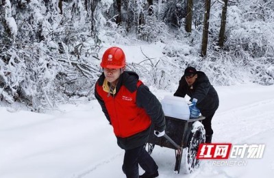 电力工人入党申请书(电力工人入党申请书2022)