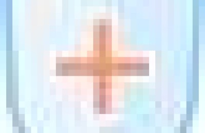 环境卫生整治(环境卫生整治工作简报)