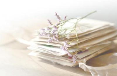 2009年高考成绩查询(2009年高考成绩查询入口)