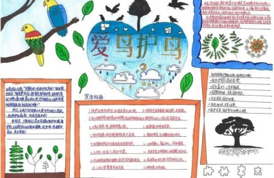 认识大自然手抄报(认识大自然手抄报简单)