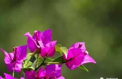 退休祝福语(退休祝福语8个字温馨)