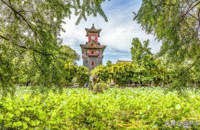 成都大学是985还是211(成都理工大学是985还是211)