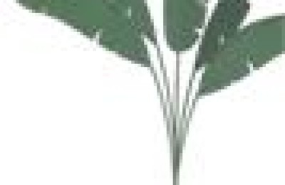 关于秋天的句子(关于秋天的句子短句)