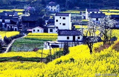 以清明节为话题的作文(以清明节为话题的作文600字)