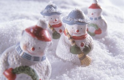 下雪了的作文(下雪了的作文怎么写三年级)