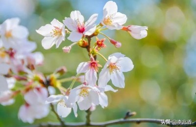 精美短文(精美短文300字)