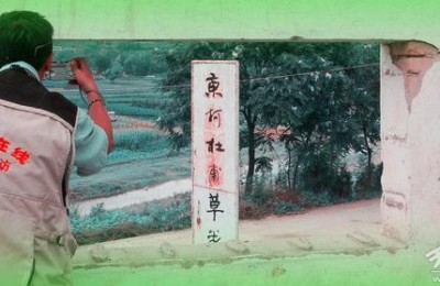 哀鸣思战斗迥立向苍苍什么意思(哀鸣思战斗,迥立向苍苍)