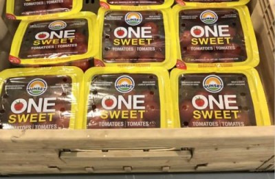 西红柿大战(西红柿大战是哪个国家)