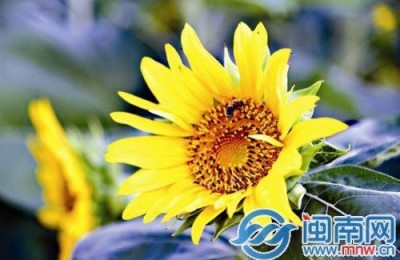 重庆招生信息网(重庆招考信息网官方网登录)