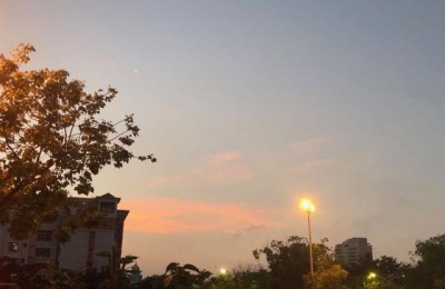 情人节表白短句(情人节表白短句8字 最浪漫告白)